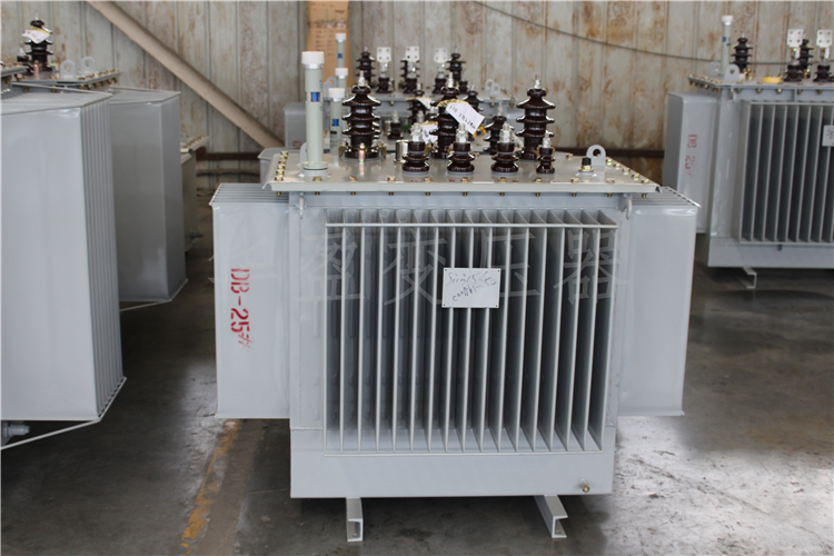 甘孜S20-800kVA/10kV/0.4kV变压器